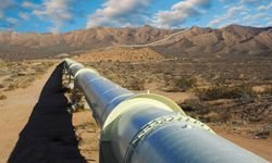 Macaristan, Ukrayna'ya dizel ihracatını askıya aldı