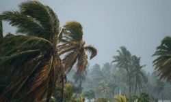 Madagaskar'ı Gezani Kasırgası vurdu:  36 ölü, 6 kayıp