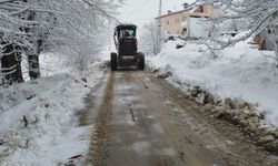 Malatya'da 109 mahalle yolunda karla mücadele çalışması sürüyor