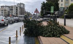 Mersin’de fırtına etkili oldu