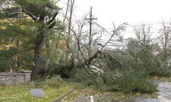 Meteoroloji'den 5 il için "sarı" kodlu fırtına uyarısı