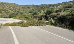 Muğla’da kuvvetli fırtına hayatı olumsuz etkiledi