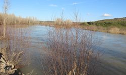 On Gözlü Köprü çevresinde su yükseldi: Dicle Nehri'nde son durum