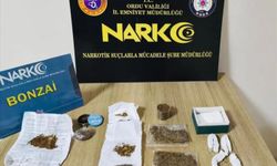 Ordu'da uyuşturucu operasyonu: 19 tutuklama