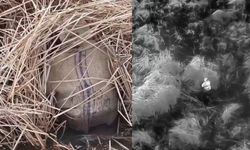 Samsun’da termal drone destekli denetimde 13 kişiye ceza