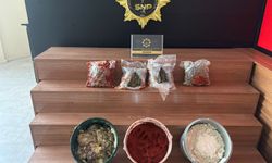 Şanlıurfa’da 2 kilo 400 gram skunk ele geçirildi