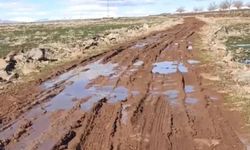 Şanlıurfa'da Küçüktepe sakinleri bozuk köy yolu nedeniyle yetkililere çağrıda bulundu