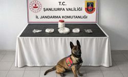 Şanlıurfa’da narkotik operasyonu: 538 gram sentetik uyuşturucu ele geçirildi