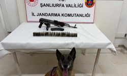 Şanlıurfa’da piyade tüfeği ele geçirildi