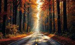 Seyahat etme ve keşfetmeye olan sevginiz genetik kökenli olabilir