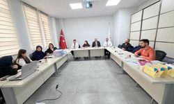 Siirt İl Sağlık Müdürlüğü bebek ölümlerini tüm yönleriyle ele aldı