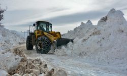 Siirt Pervari’de kar ve tipi nedeniyle kapanan köy yolları yeniden ulaşıma açıldı
