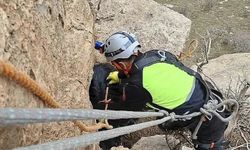 Siirt’te 3 gündür kayalıkta mahsur kalan keçi kurtarıldı