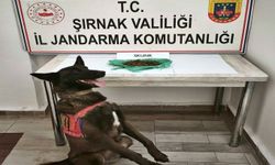 Şırnak asayiş ve kaçakçılık operasyonları: 27 tutuklama