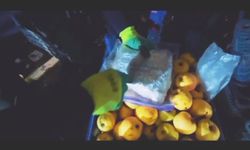 Şırnak’ta 1 kilo 431 gram skunk ele geçirildi: 2 gözaltı