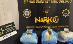 Şırnak'ta 1 kilo 431 gram Skunk ele geçirildi: 2 kişi tutuklandı