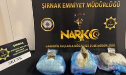 Şırnak’ta 1 kilo 431 gram skunk ele geçirildi