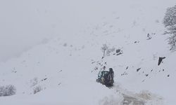 Şırnak’ta kar nedeniyle kapanan köy yolları ulaşıma açıldı
