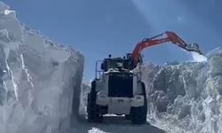 Şırnak'ta kar nedeniyle kapanan yolları açıldı