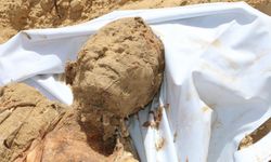 Siyonist rejim "en büyük deri bankası bizde" dedi: Bu deriler nereden geldi?