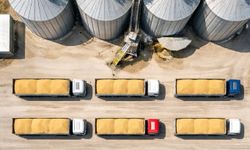 TMO 1,2 milyon ton buğdayı TÜRİB üzerinden satışa sunuyor