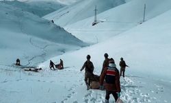 Van ve Hakkari’de uyuşturucu operasyonu: 406 kilogram madde ele geçirildi