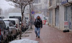 Van’da kar yağışı etkili oldu