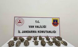 Van’da kınalı keklik avcılarına 246 bin TL ceza 