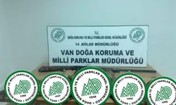 Van’da yasa dışı avlanan kişiye 87 bin TL ceza uygulandı