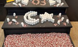 Yolcu otobüsünde 6 bin 692 adet sentetik ecza hap ele geçirildi