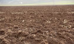 ZMO Başkanı Doğan: Hunharca tükettiğimiz hayat kaynağı toprağı korumak zorundayız