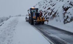 6 ilde kar engeli: 89 yol ulaşıma kapandı