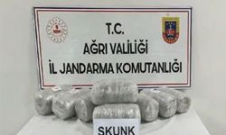 Ağrı’da 10 kilogram skunk ele geçirildi: 1 tutuklama