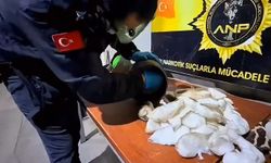 Ağrı'da gerçekleştirilen operasyonda 8 kilogram uyuşturucu ele geçirildi