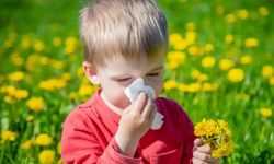 Bahar aylarında alerjik burun tıkanıklığı şikayetleri artıyor