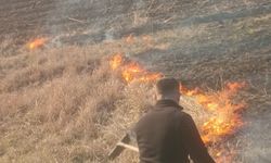 Batman'da anız yangını söndürüldü