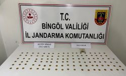 Bingöl’de aranan 5 şahıs yakalandı, 33 şüpheli hakkında işlem başlatıldı