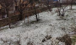 Bingöllüler, baharı beklerken kış geri geldi