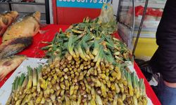 Bingöl’ün dağlarından tezgâhlara: Çiriş otu