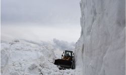Bitlis’e bu sezon yağan kar miktarı 8 metreyi buldu