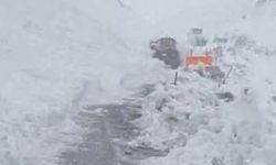 Çığ nedeniyle ulaşım dururken mahsur kalan 40 yolcu kurtarıldı