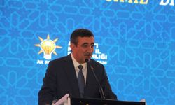 Cumhurbaşkanı Yardımcısı Yılmaz’dan bölgedeki gerilime ilişkin diplomasi çağrısı