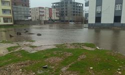 Diyarbakır'da kanalizasyon taşkını: Sokak göle döndü