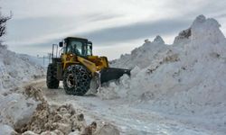 Doğu’da kış etkisini sürdürüyor: 279 yerleşim yerinin yolu ulaşıma kapalı