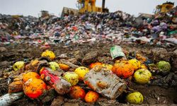 Dünya genelinde gıda israfı artıyor: Üretilen gıdanın üçte biri çöpe gidiyor