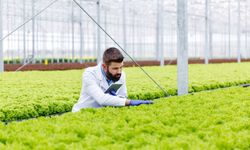 Dünya ve Türkiye’de sürdürülebilir tarımın geleceği