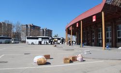 Firma temsilcileri: Yükselen akaryakıt ve maliyetler otobüs taşımacılığını zorluyor