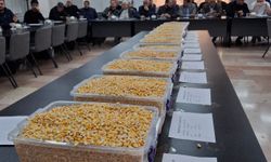 Gaziantep'te 15 bin ton mısır açık artırma usulüyle satışa sunuldu