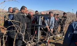 Gercüş bağları için modernizasyon adımı