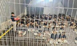 HAMAS: Siyonist rejimin esirlere idam yasası vahşi bir adım